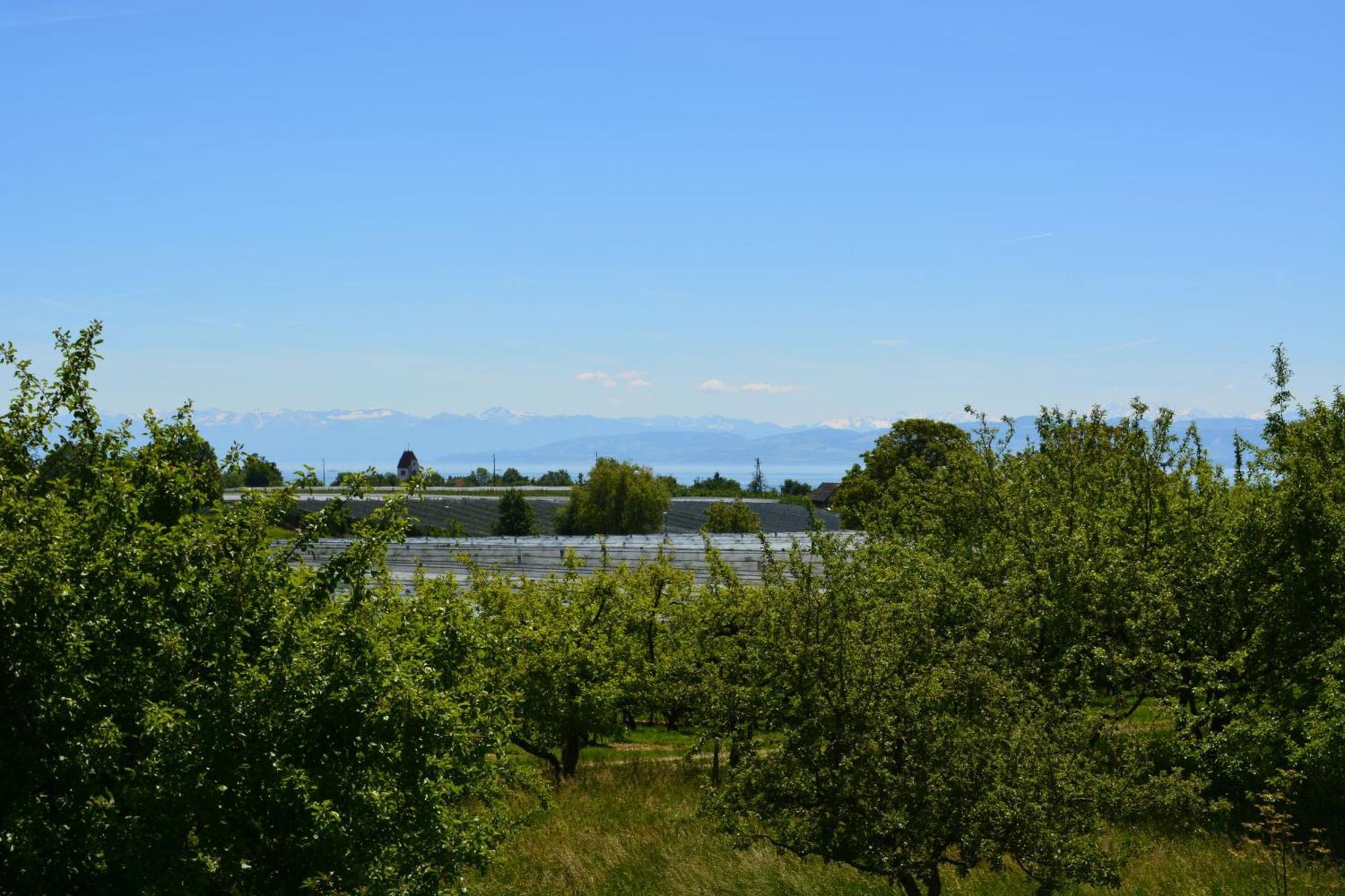Ferienwohnung Plocher Immenstaad am Bodensee Luaran gambar